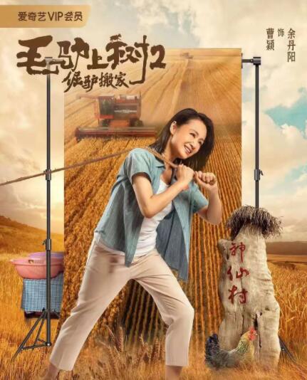 爱人性感的身高和雅致的胸部